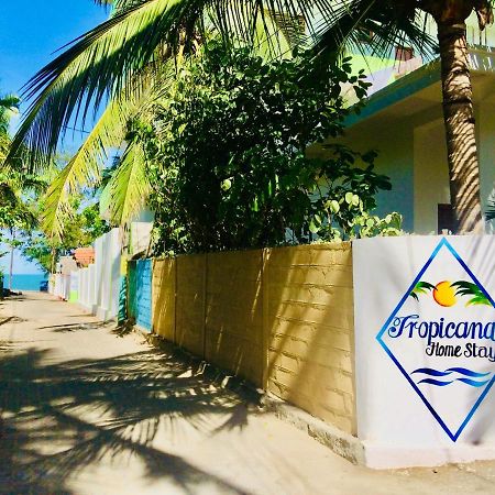 Tropicana Home Stay Arugam Bay Exteriér fotografie