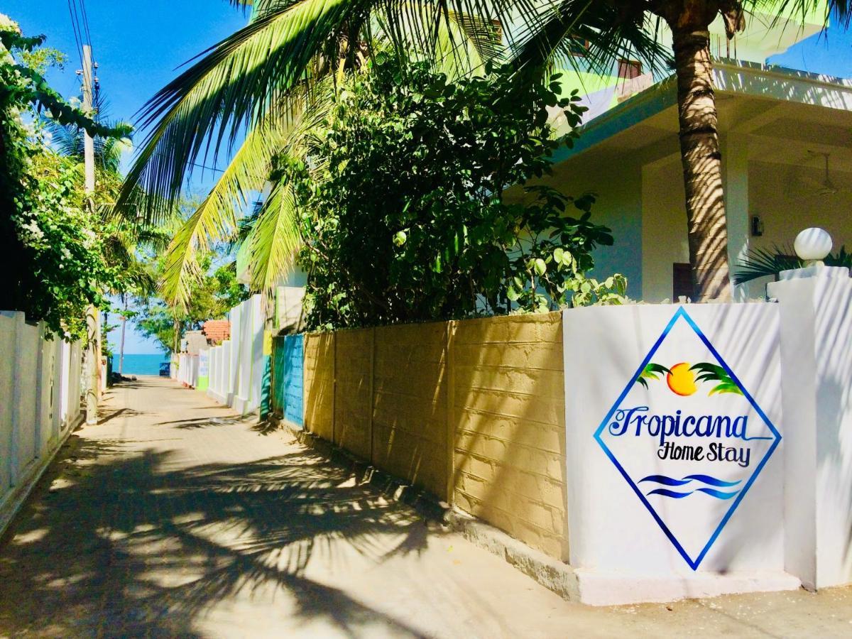 Tropicana Home Stay Arugam Bay Exteriér fotografie
