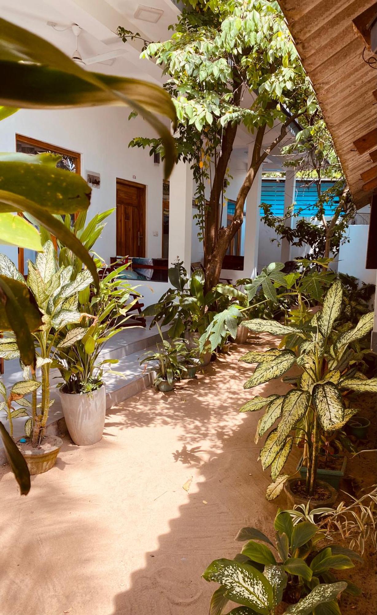 Tropicana Home Stay Arugam Bay Exteriér fotografie